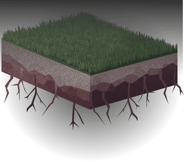 Our people data visualization tree