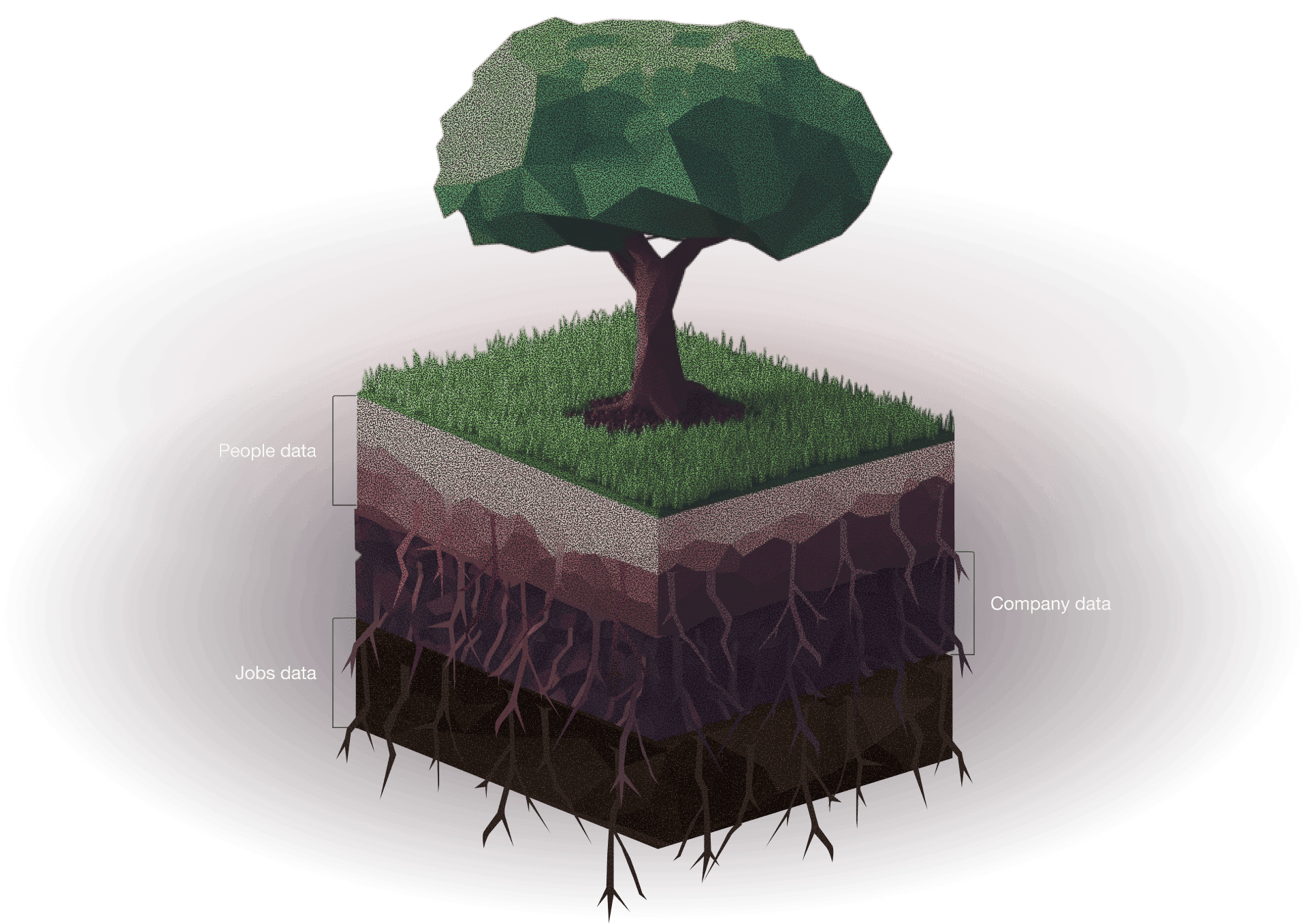 Data visualization tree