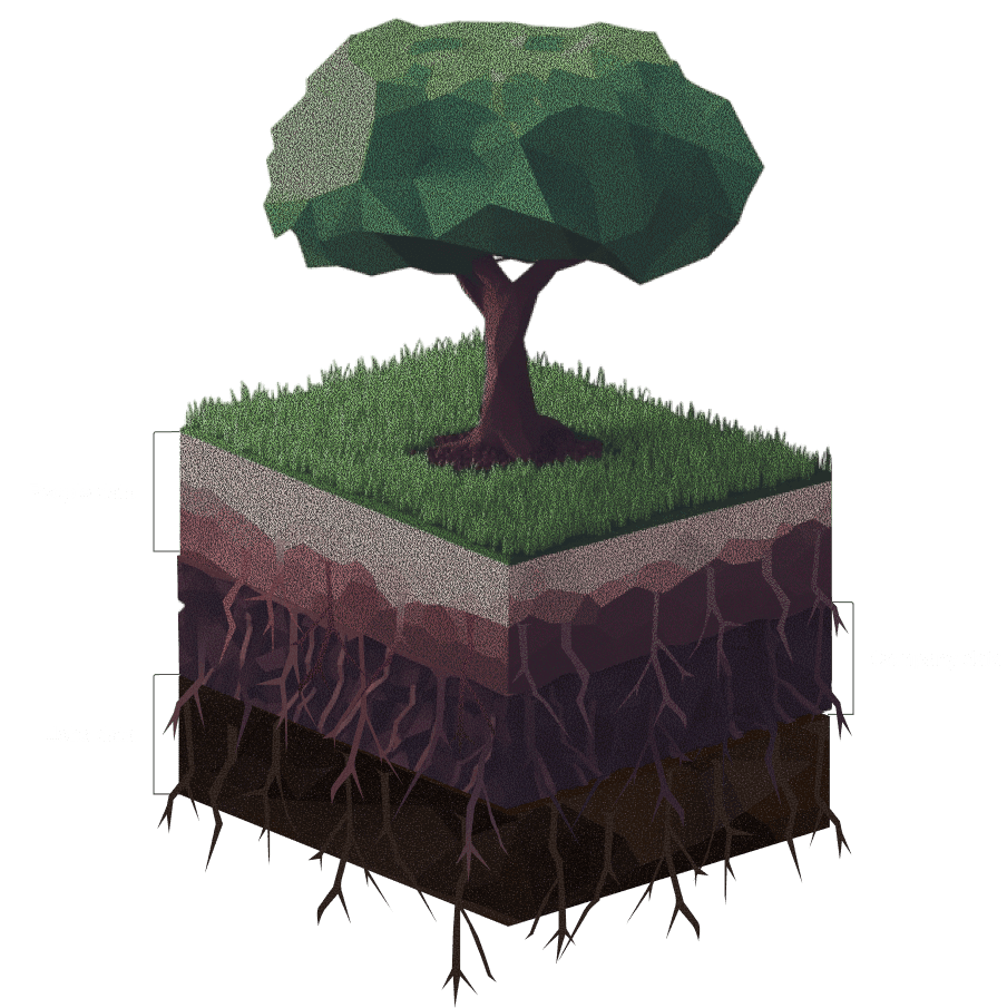 Data visualization tree