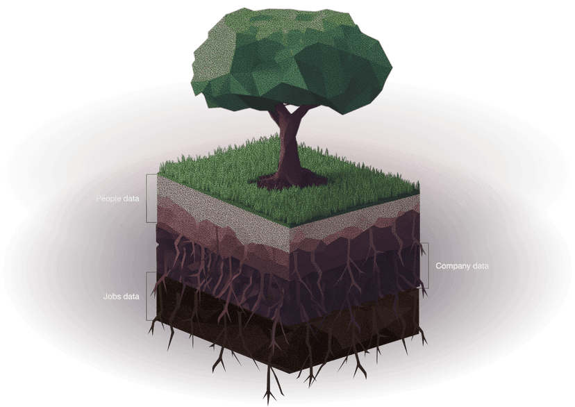 Data layers visualization
