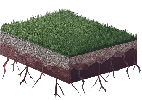Our people data visualization tree