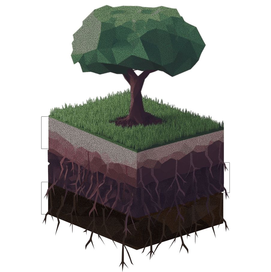 Data visualization tree