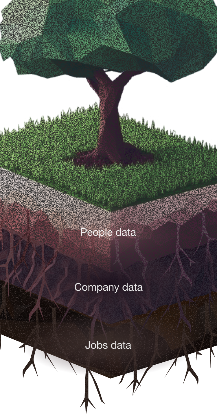 Our people data visualization tree